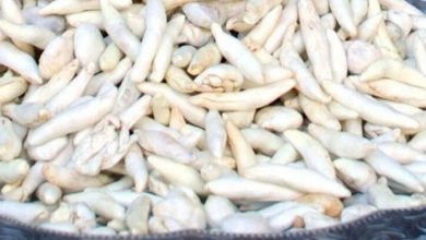 Sakız orucu bozar mı? Oruçluyken sakız çiğnemek orucu bozar mı?